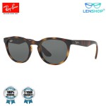 RB4252I 601/8G 51 rayban panto