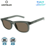 MB0226S brown lens wayfarer