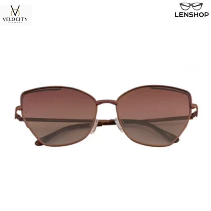 Velocity Sunglass Brown 1932PL